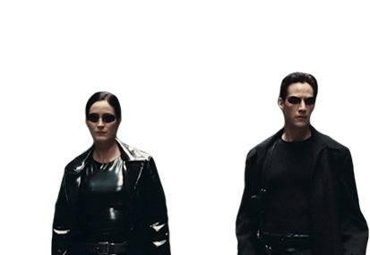 Tela do Seeker rodando com ngrok